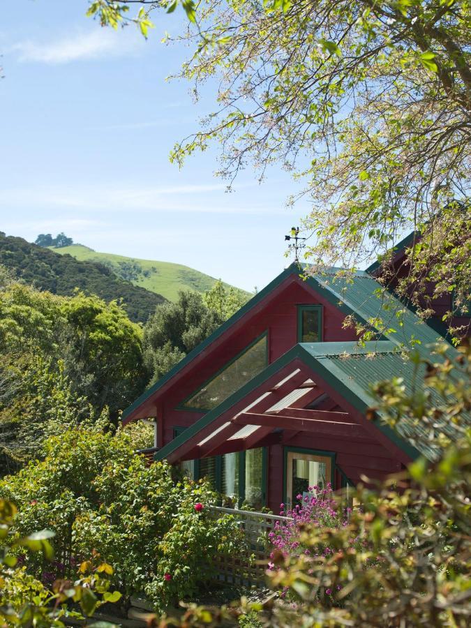 Hereweka Garden Retreat Dunedin Zewnętrze zdjęcie